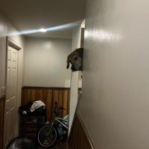 Meet your Posher, Gucci